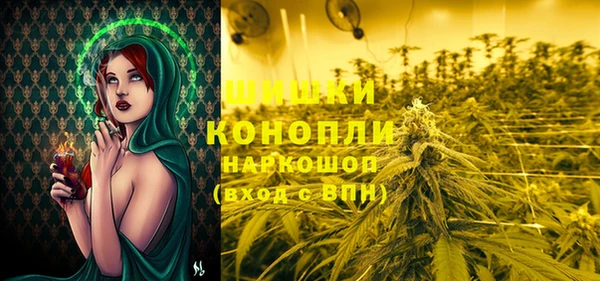 spice Магас