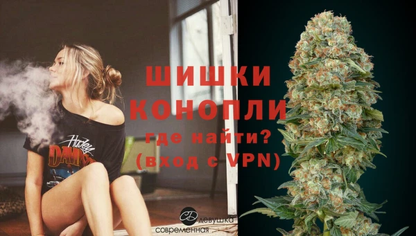spice Ладушкин
