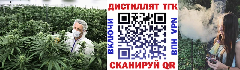 Дистиллят ТГК жижа Купить где Ахтубинск