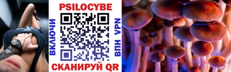 Купить  Ахтубинск  Псилоцибиновые грибы Psilocybine cubensis 